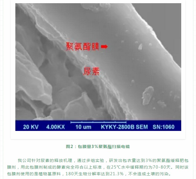 聚氨酯缓释肥的释放机理